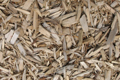 biomass boilers Caulcott