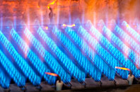 Caulcott gas fired boilers